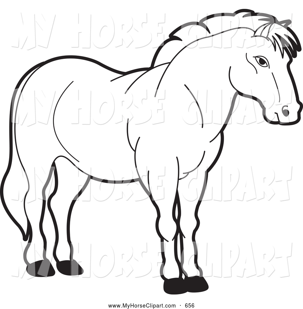 Clip Art Of A Black And White Horse By Lal Perera 656