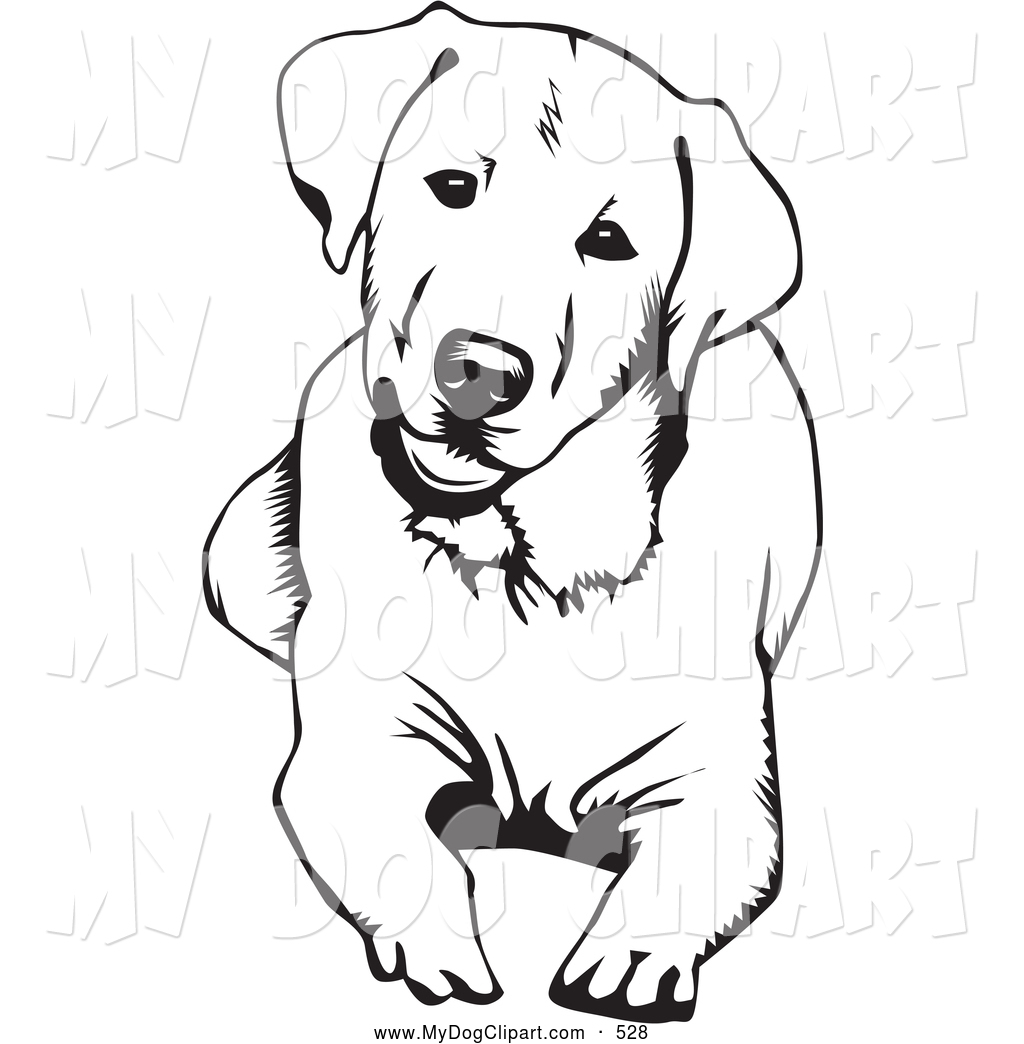 Clip Art Of A Cute And Curiou - Labrador Retriever Clip Art
