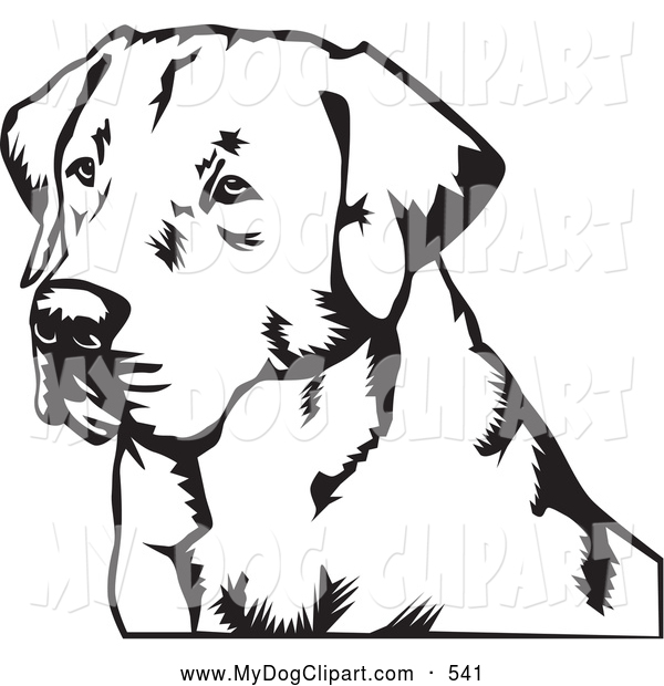 Clip Art of a Friendly Labrador Retriever Dog