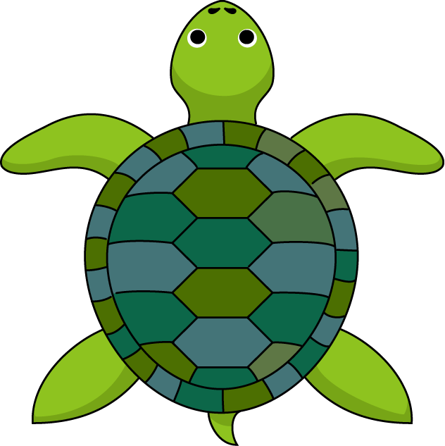 tortoise: Cute turtle cartoon