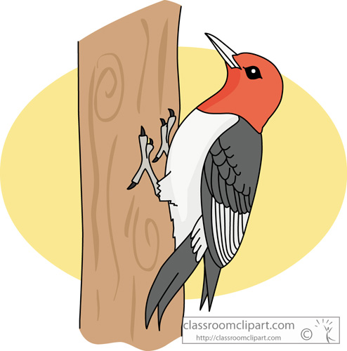 Clip Art of Woodpeckers - Woodpecker Clipart