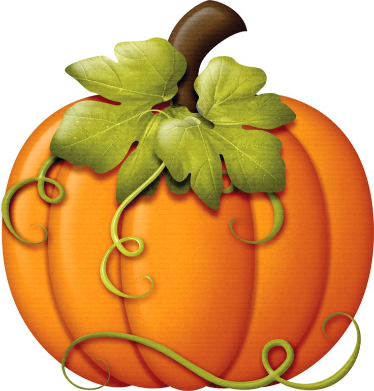 Clip Art Pumpkin - clipartall - Pumpkins Clip Art