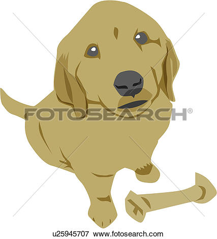 Clip Art - puppy, mammal, dog - Golden Retriever Clip Art