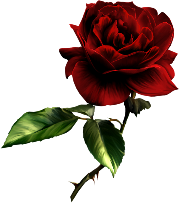 Clip Art Red Rose - Red Rose Clip Art