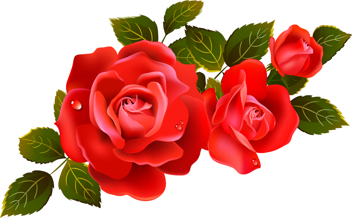 Red Rose Clipart Image