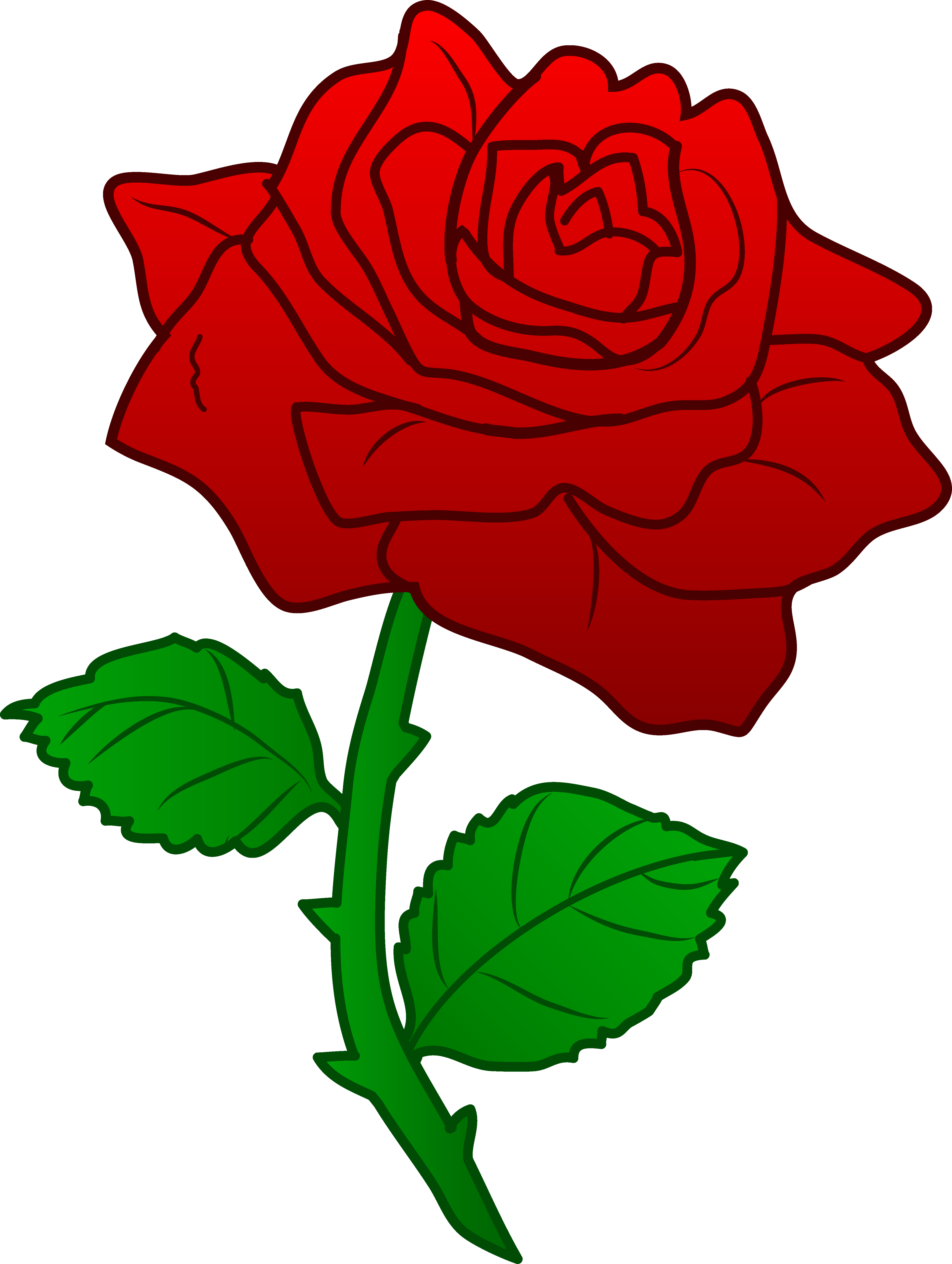 Single red rose clipart - Cli