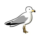 Clip Art Seagull Clipart seag - Seagull Clip Art