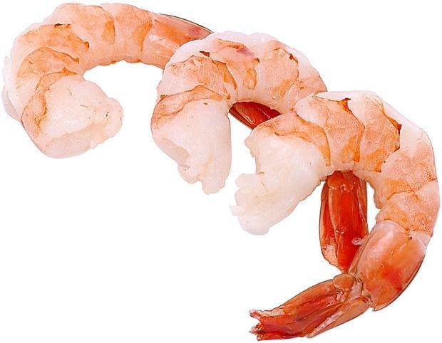 Clip art shrimp - Shrimp Clip Art