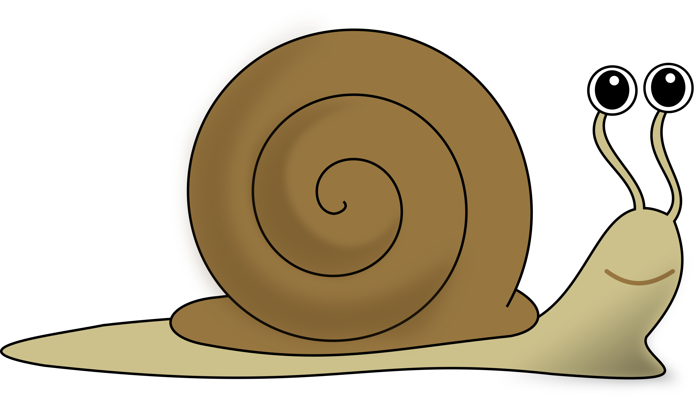 Snail Clipart Black And White