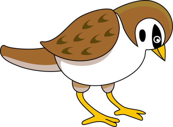 Clip Art Sparrow Clipart - Free to use Clip Art Resource ...