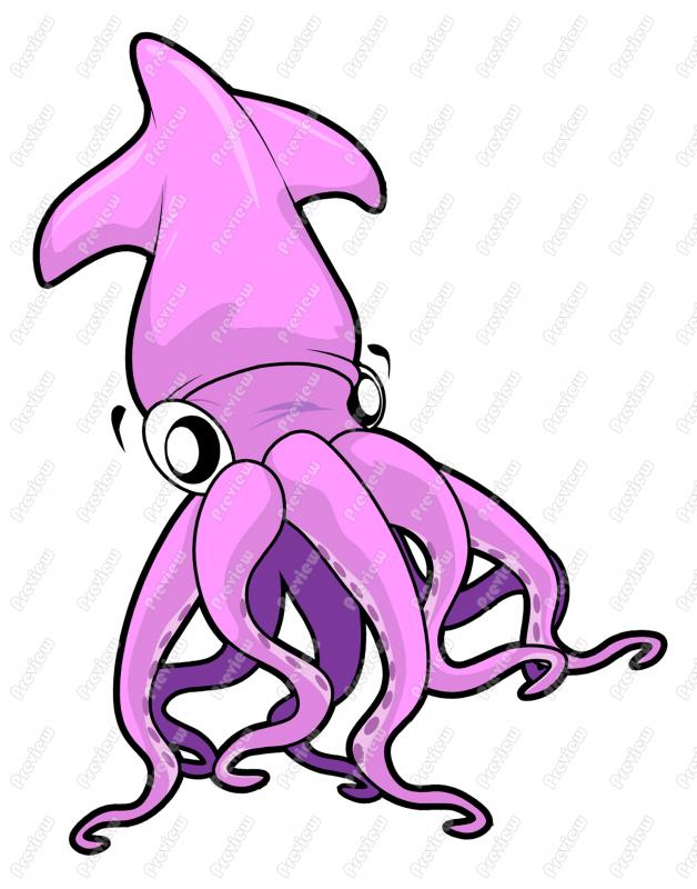 ... Squid cartoon - Vector il