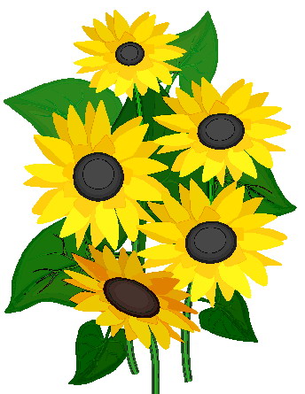 Sunflower clip art free vecto