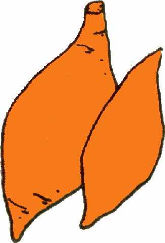 Clip Art Yam Pictures - Yam Clipart