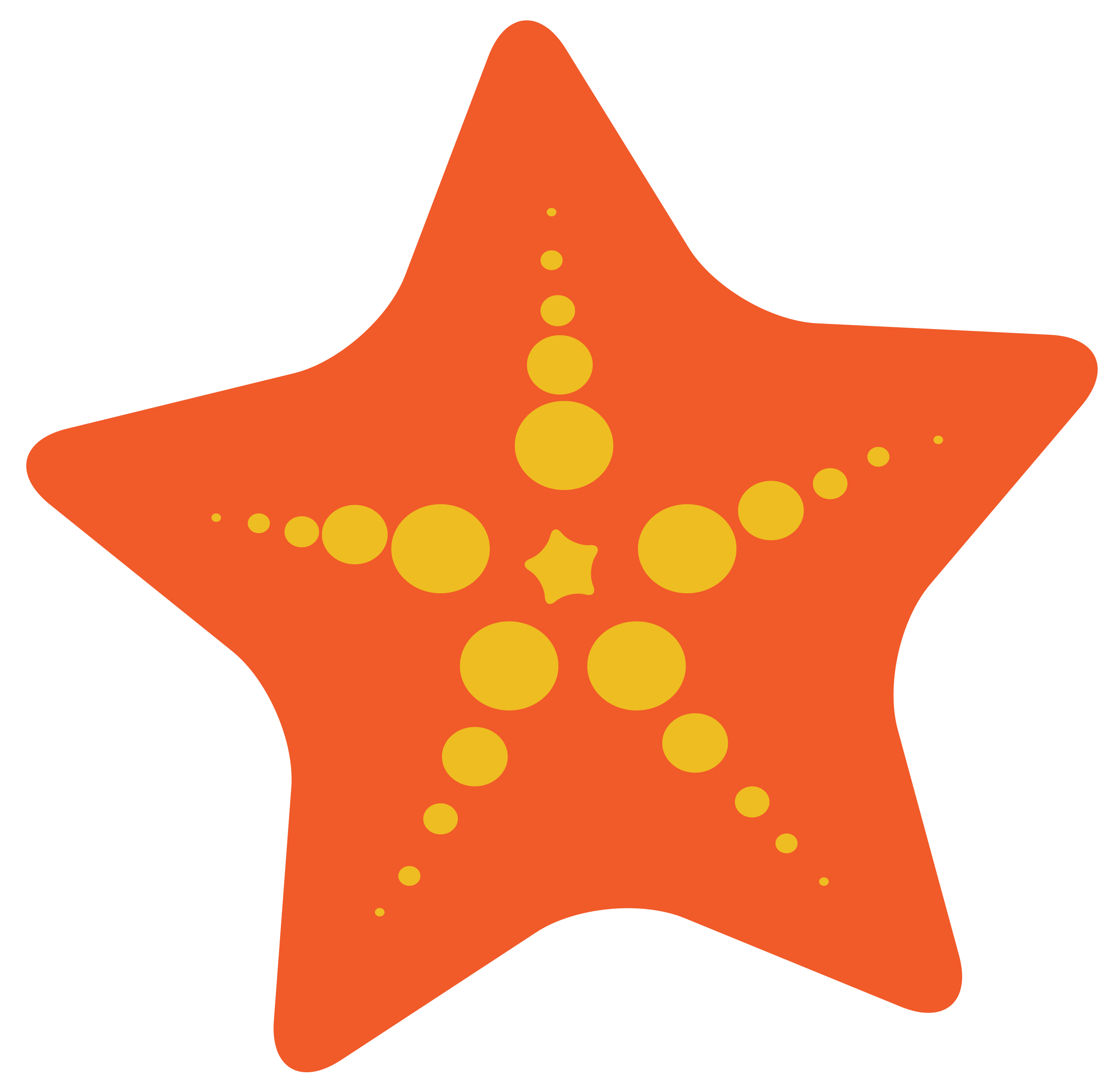 clipart starfish - Star Fish Clipart