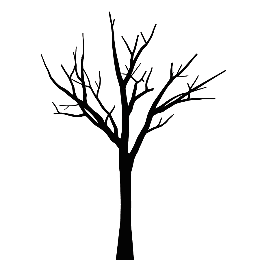clipart tree without leaves