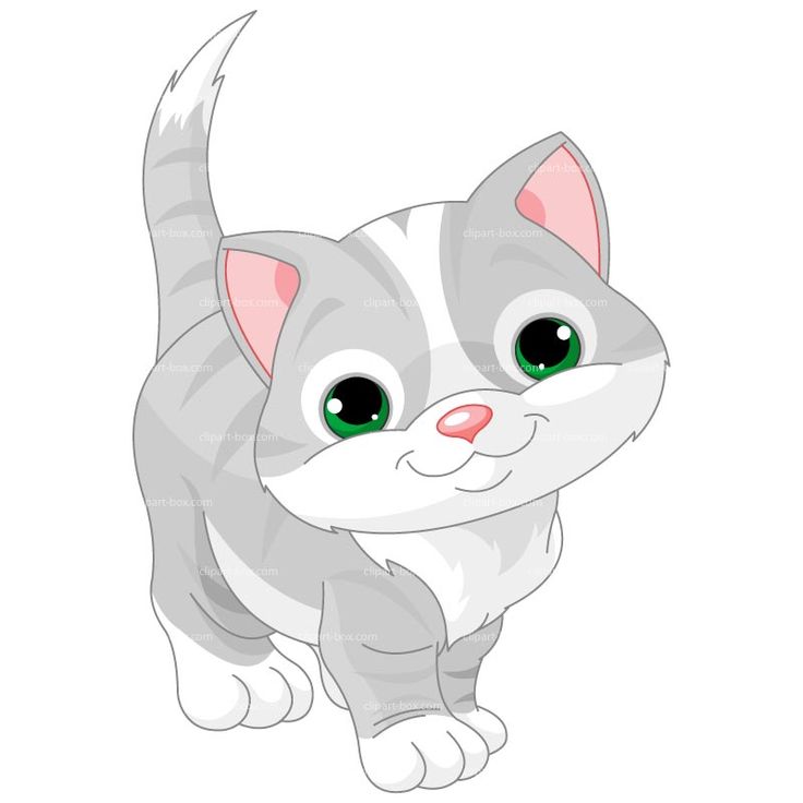... Playful Kitten - Kitten p