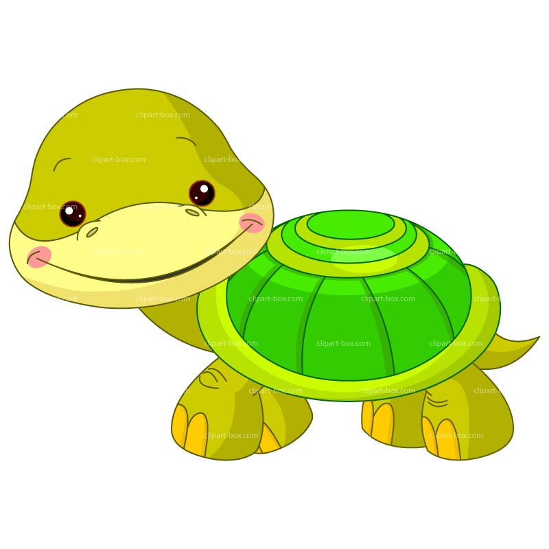 Clipart Baby Turtle Royalty .