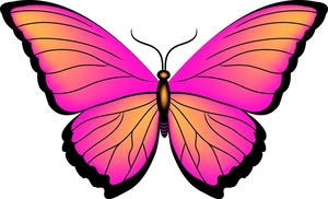 clipart butterfly - Clipart Butterflies