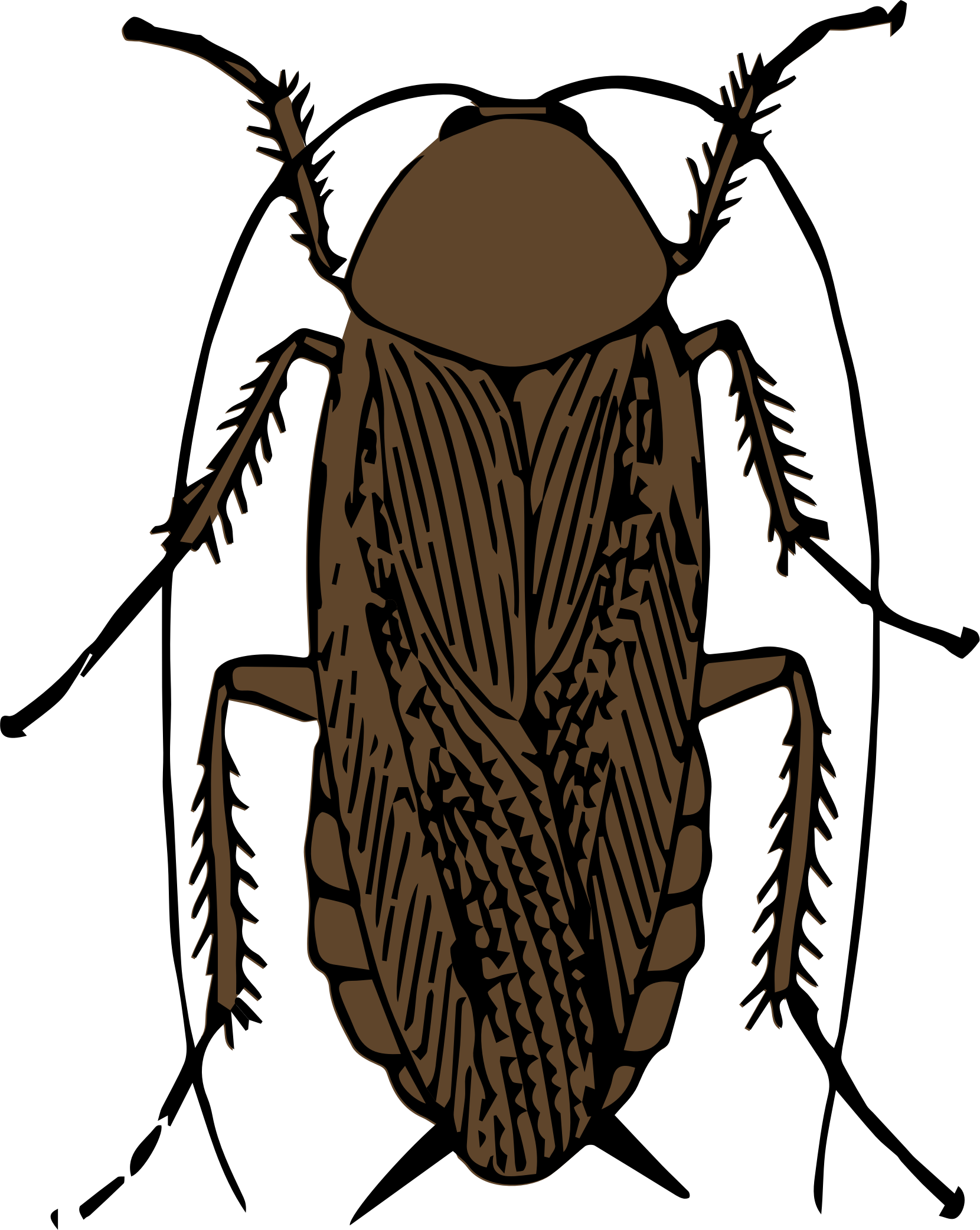 Clipart cockroach color - Cockroach Clipart
