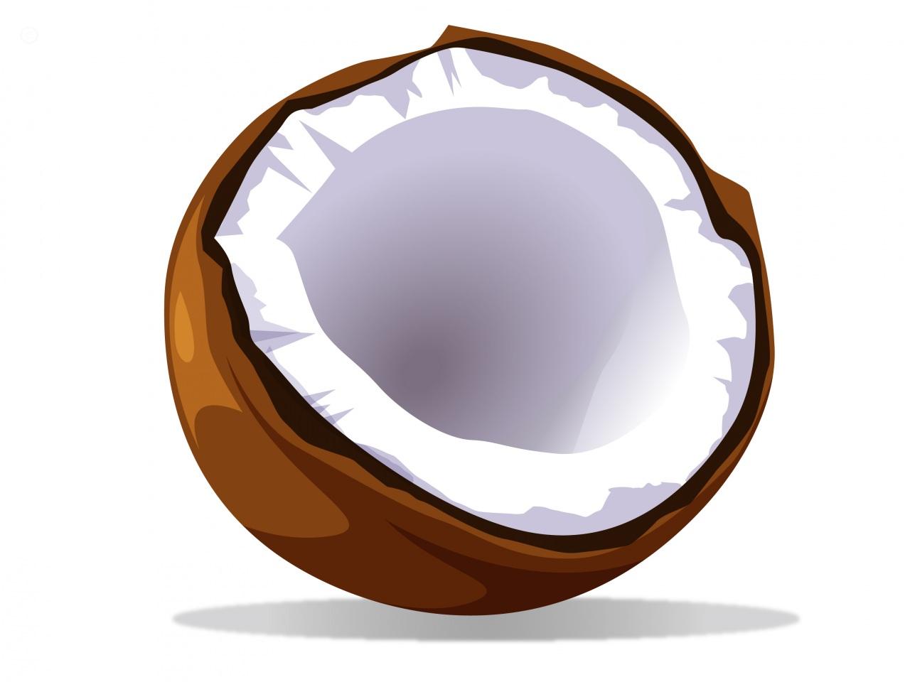 Clipart Coconut - Coconut Clip Art