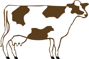 Clipart dairy cows - Dairy Cow Clip Art