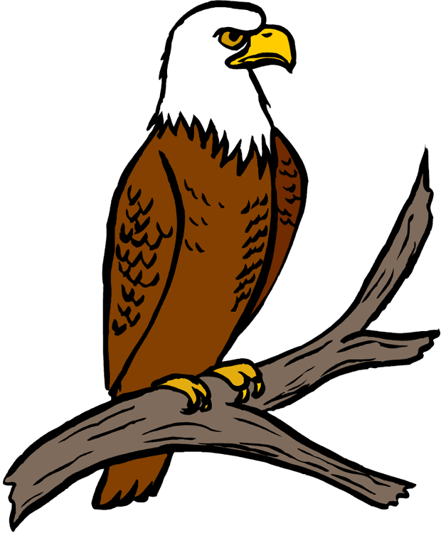 Eagle clip art 3