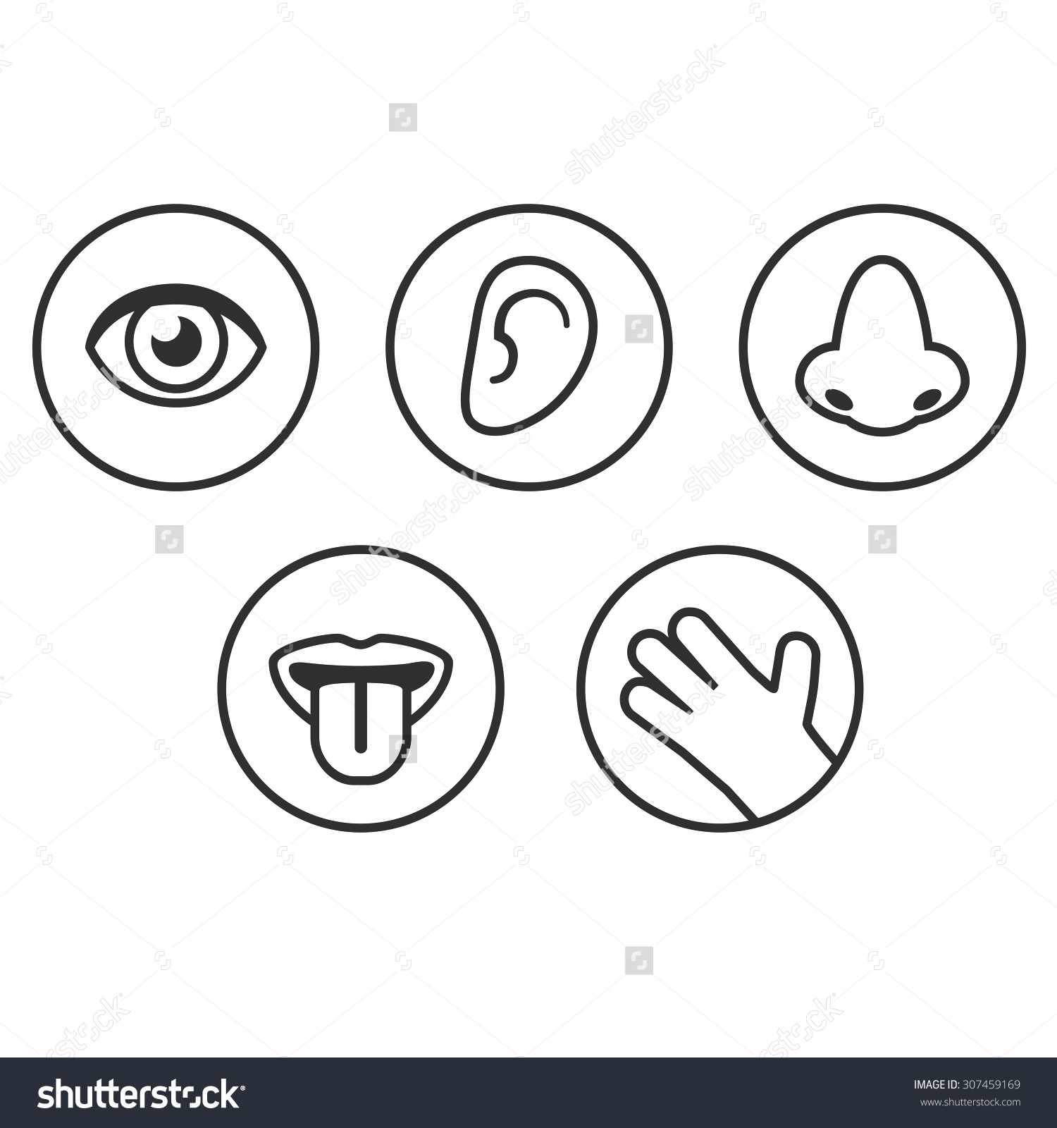 Clipart Five Senses. Save to a lightbox