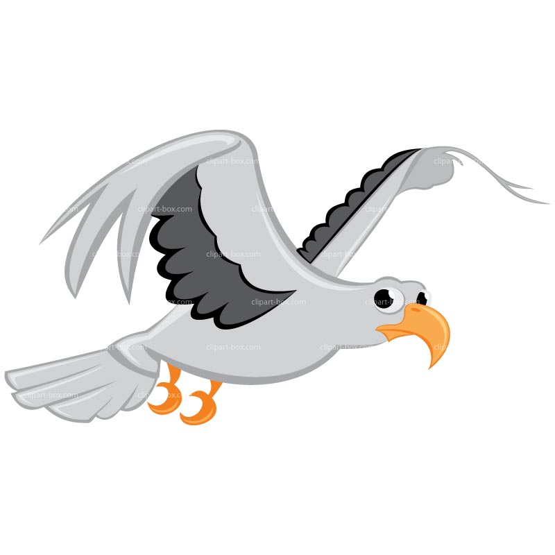 Seagull flying sea gull clip 