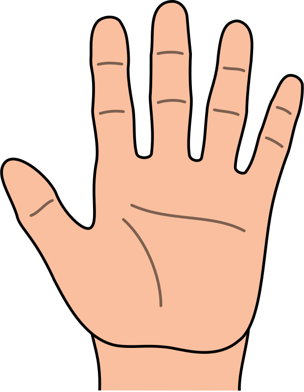 clipart hand - Hand Clipart