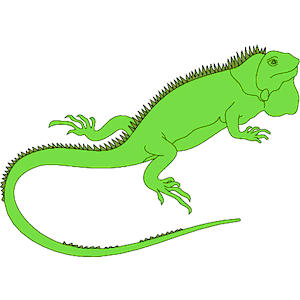 clipart iguana - Iguana Clip Art