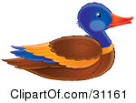 Clipart Illustration Of A Colorful Mallard Duck Drake In Profile