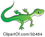 Clipart Illustration Of A Cute Green Lizard Facing Right Glancing Back At The Viewer by Alex