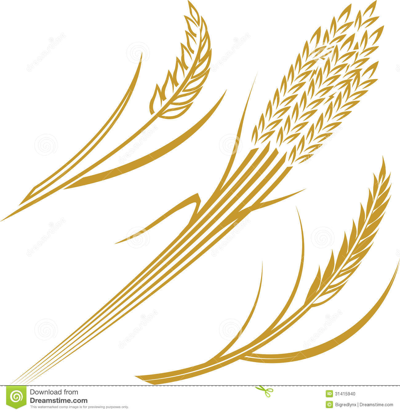 Clipart Illustration Wheat Grain