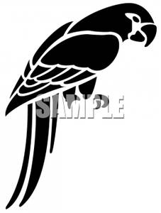 Clipart Image: Black and White Parrot
