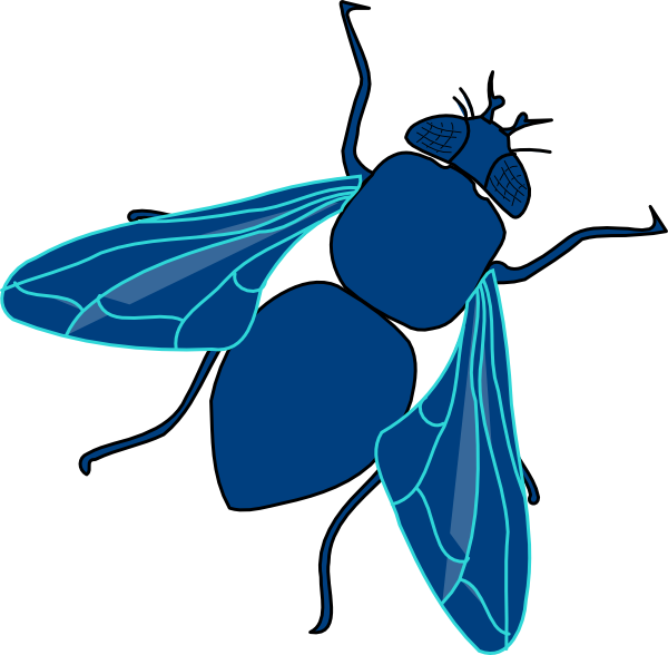 Clipart images of a fly - ClipartFest