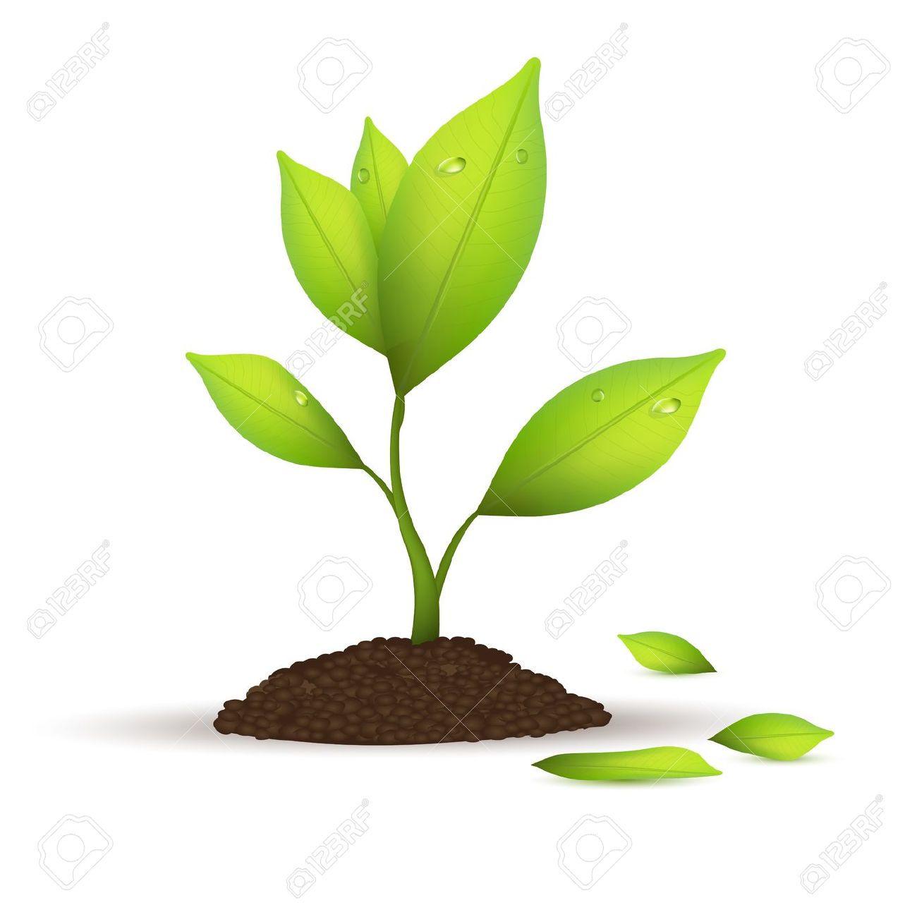 Free Green Plant In Pot Clip 