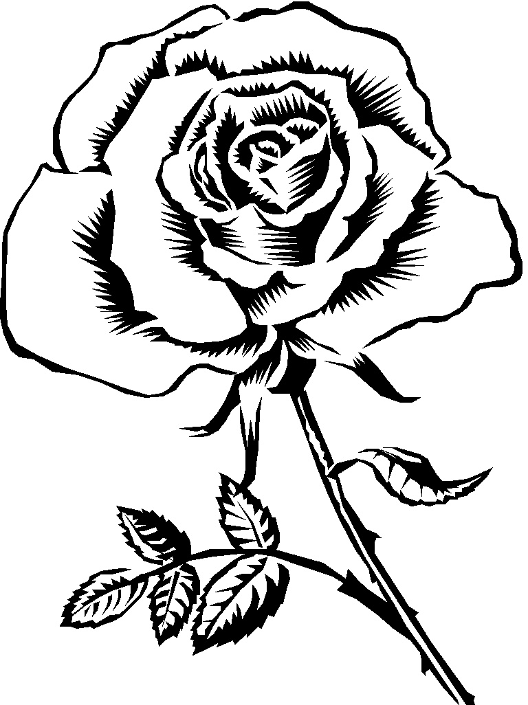 rose clip art black and white