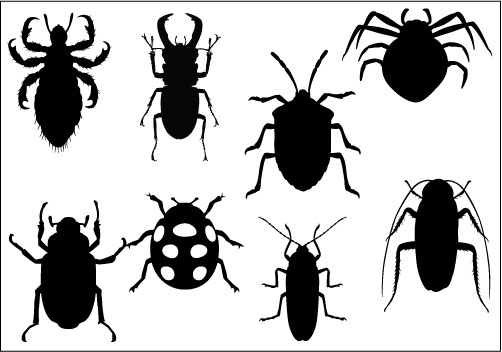 clipart insects - Clipart Insects