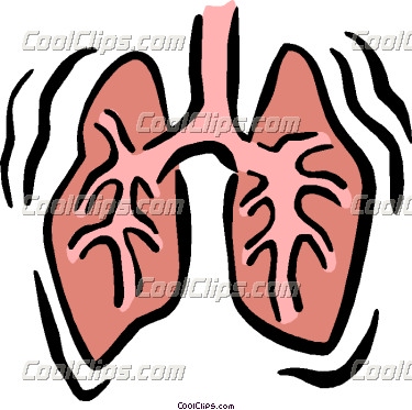 clipart lungs