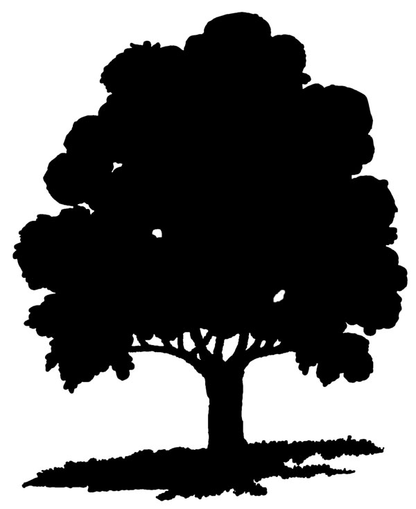 Clipart Oak Trees Black And W - Oak Tree Clipart