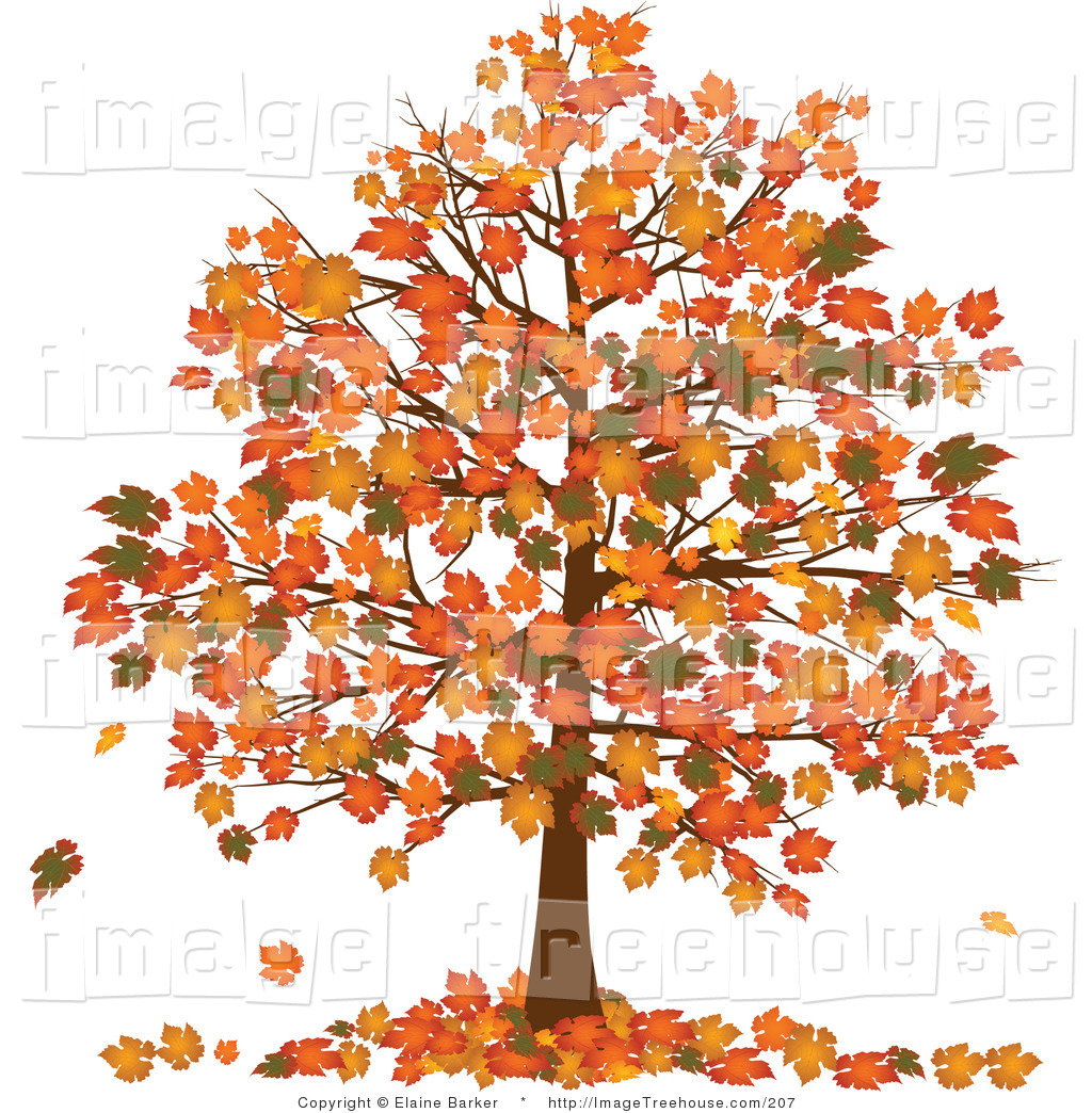 Clipart Of A Fall Tree With Vibrantly Colored Orange And Yellow Fall