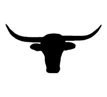 Charging texas longhorn bull 