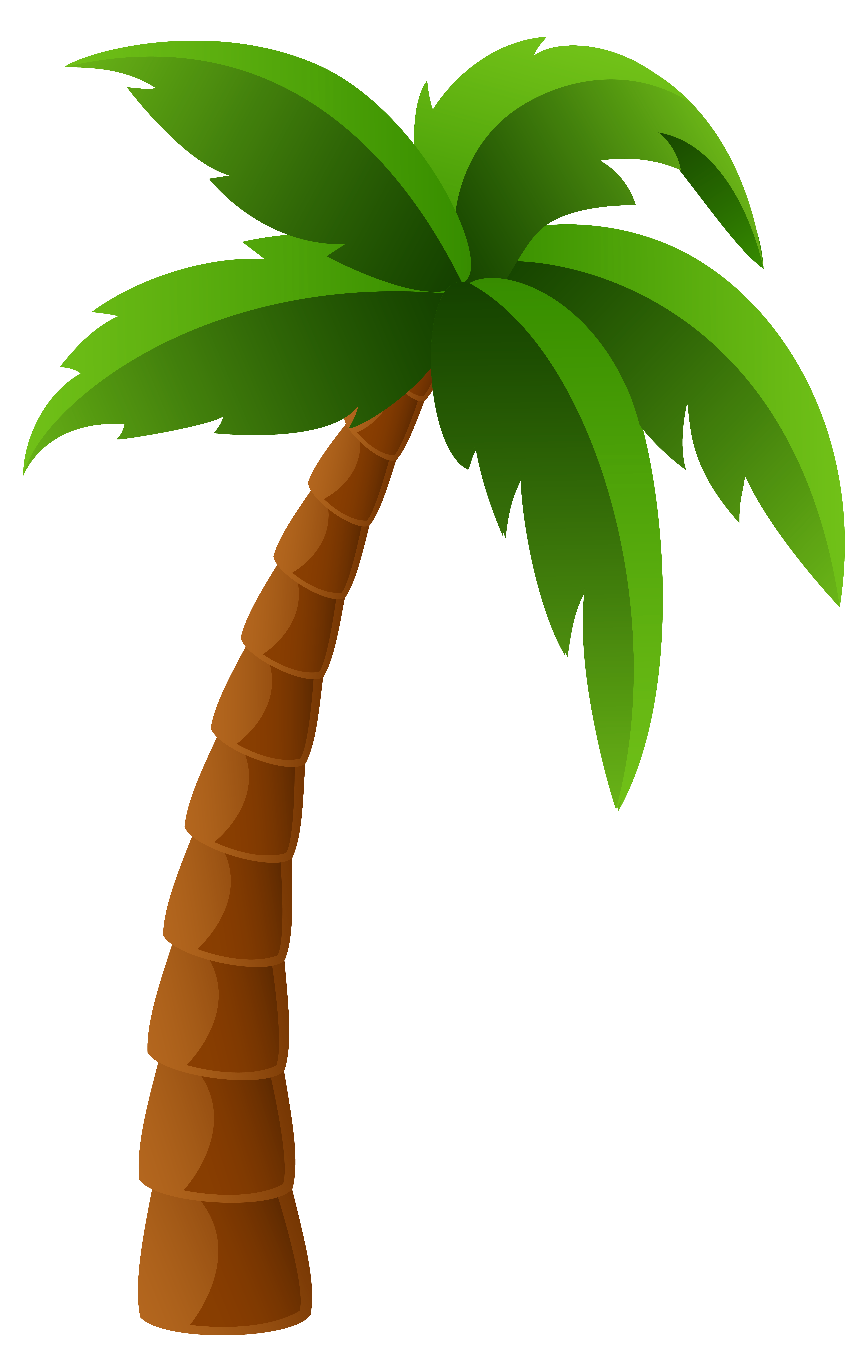 Clipart of a palm tree - ClipartFest