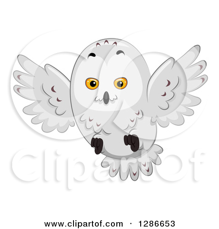 Clipart of a Snowy Owl Flying .