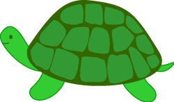 Clipart of a turtle clipart .