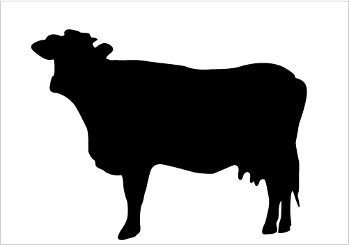 Beef Cow Silhouette Clipart P