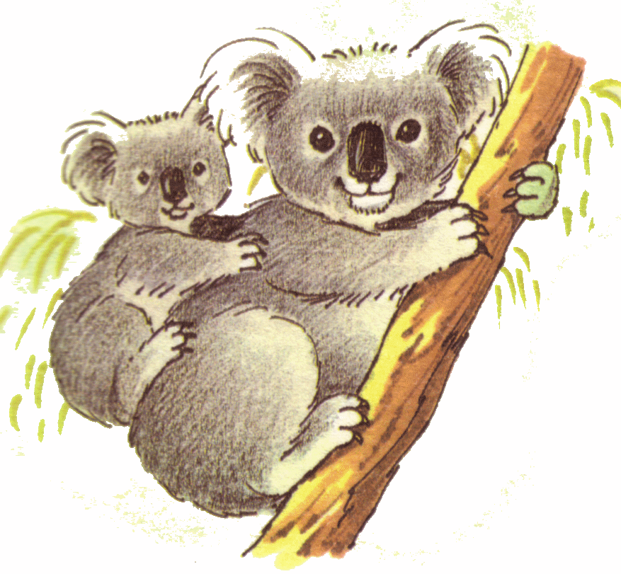 Clipart Of Koala Koala Clipar - Koala Bear Clip Art