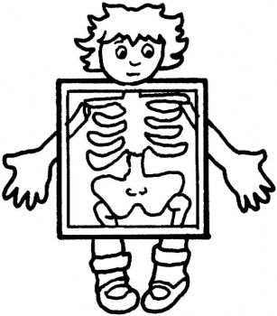 ... Clipart of x ray ...