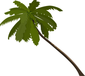 ... Clipart palm tree free -  - Free Palm Tree Clip Art