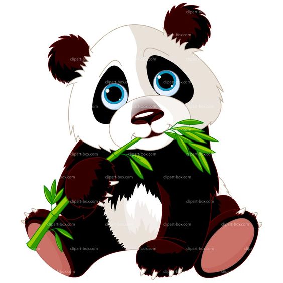 CLIPART PANDA EATING BAMBOO .